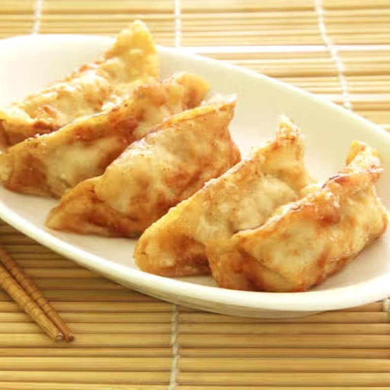Delicious Gyoza: A Japanese Dumpling Delight